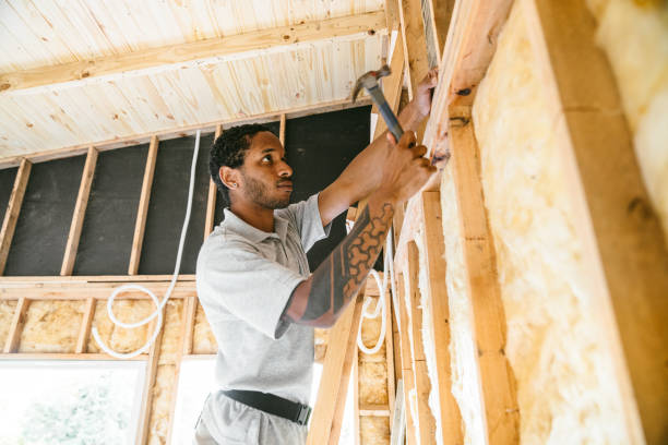 Best Insulation Removal  in Franklin, MI