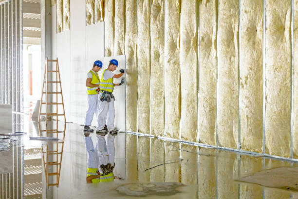 Best Soundproof Insulation Installation  in Franklin, MI